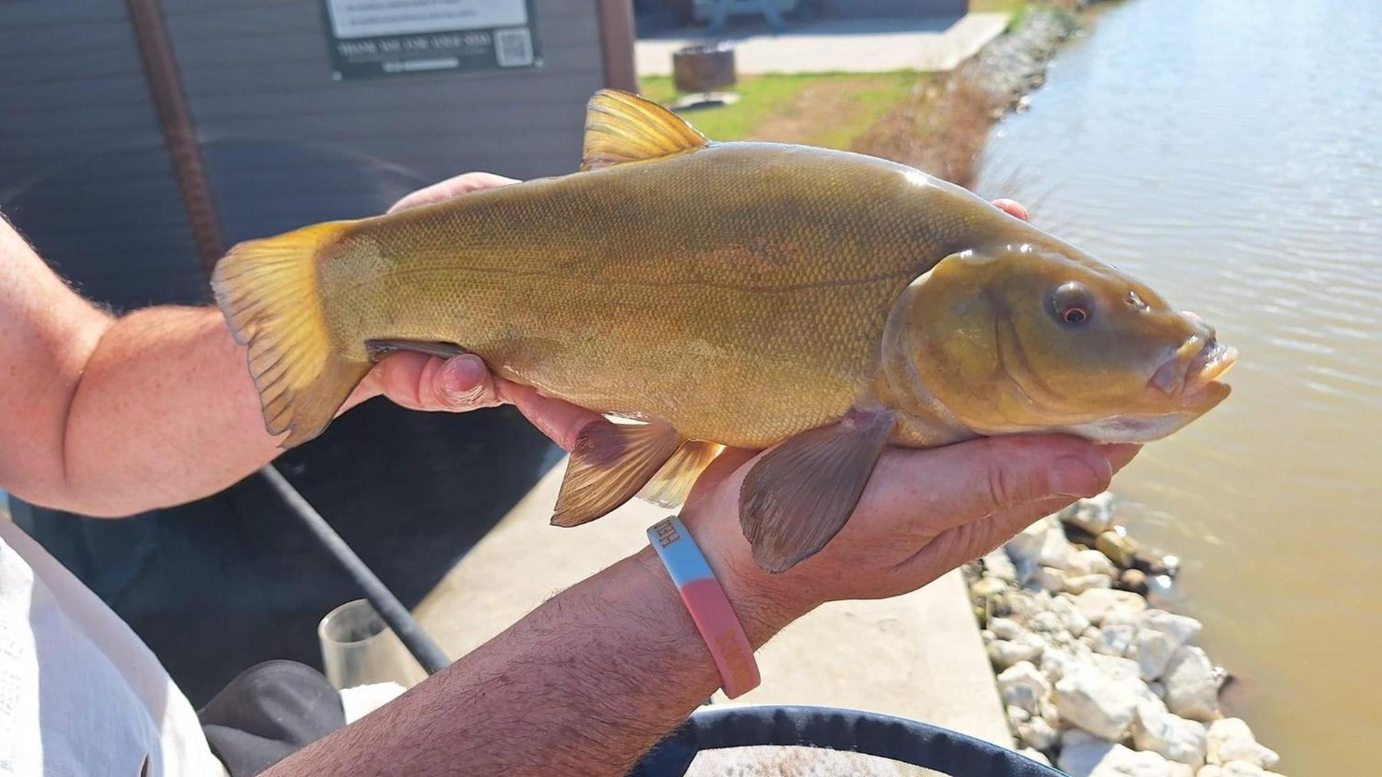 Lakeside Fishing Retreats 보스턴 객실 사진