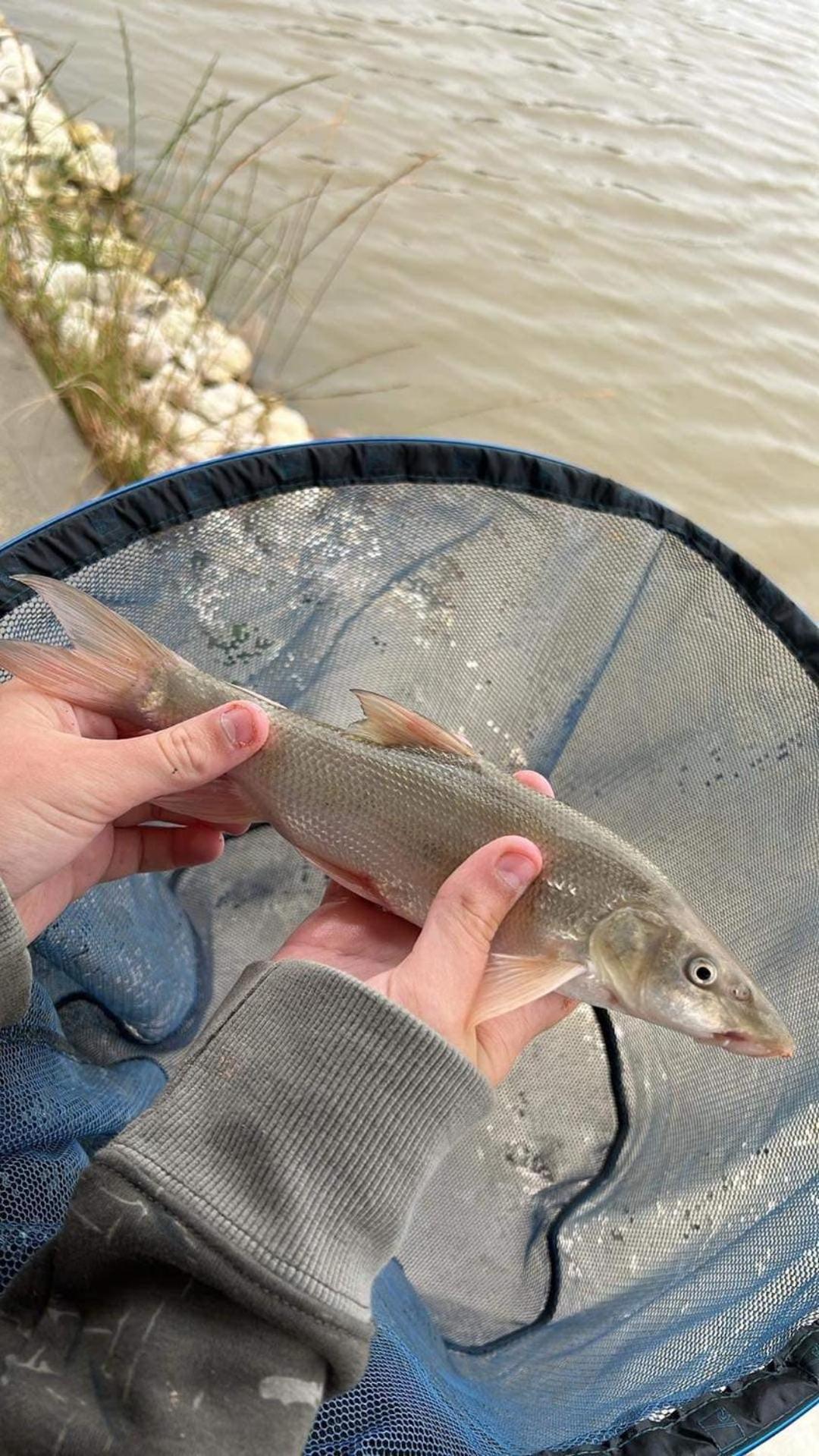 Lakeside Fishing Retreats 보스턴 객실 사진