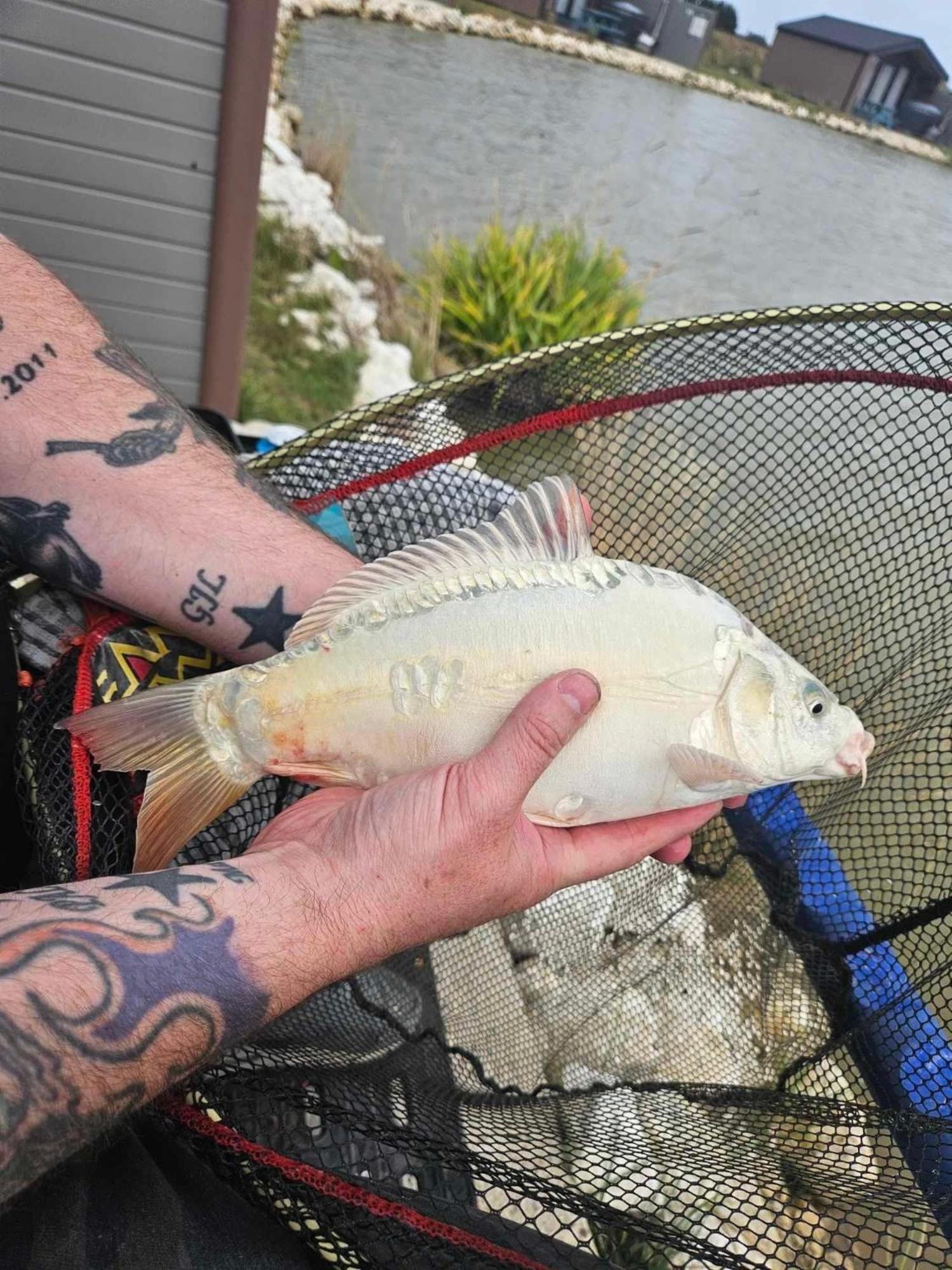 Lakeside Fishing Retreats 보스턴 객실 사진