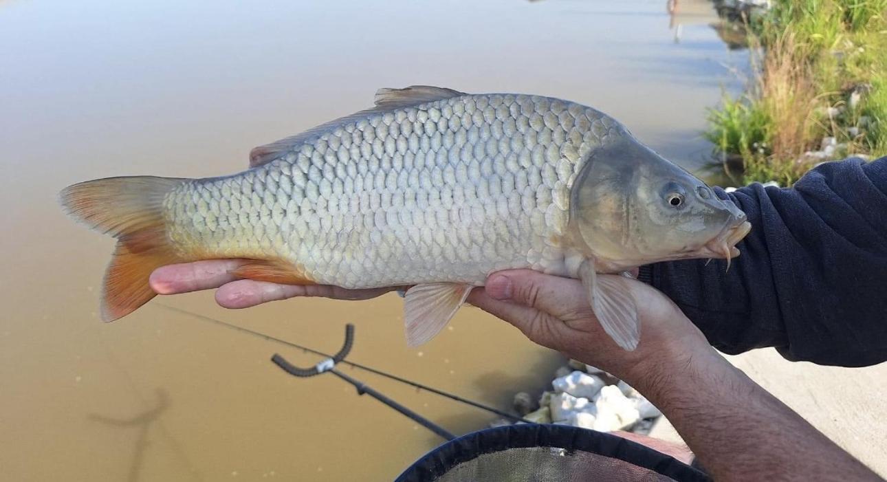 Lakeside Fishing Retreats 보스턴 객실 사진