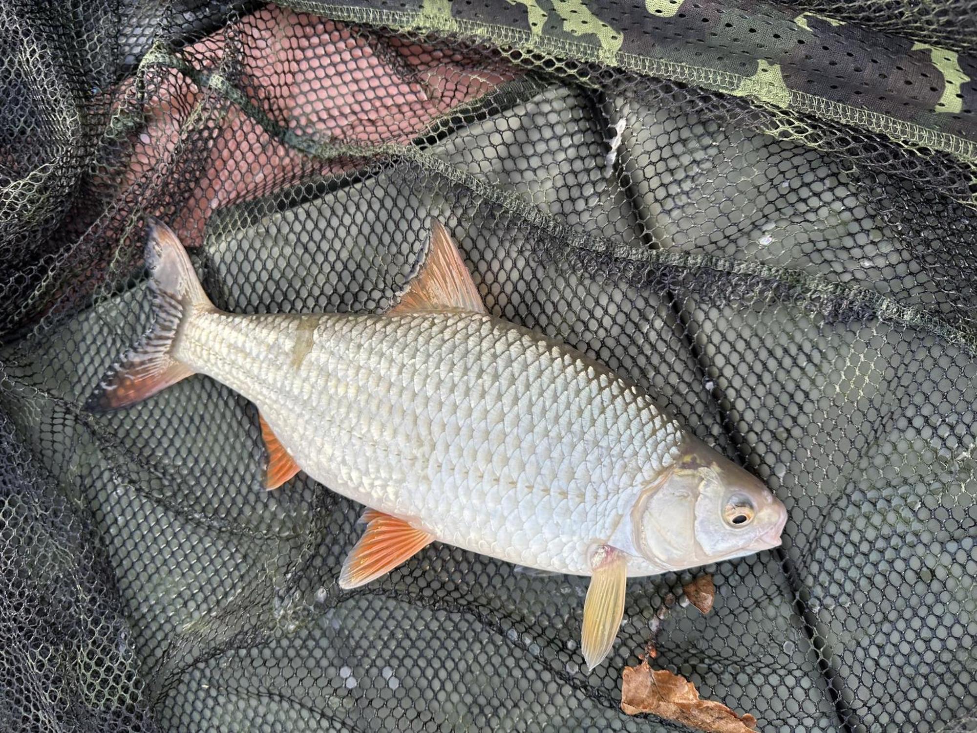 Lakeside Fishing Retreats 보스턴 객실 사진
